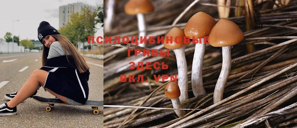 прущие крисы Кодинск