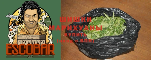 СК Козельск