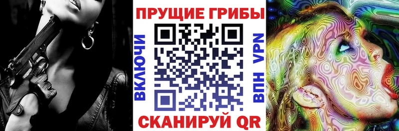 Псилоцибиновые грибы GOLDEN TEACHER  Купить  Ессентукская 